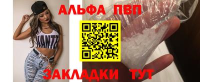 шишки Новодвинск