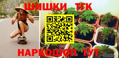 шишки Новодвинск
