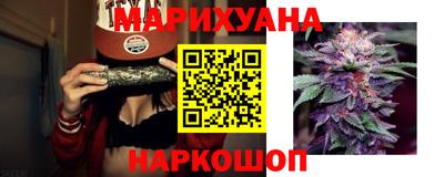 шишки Новодвинск