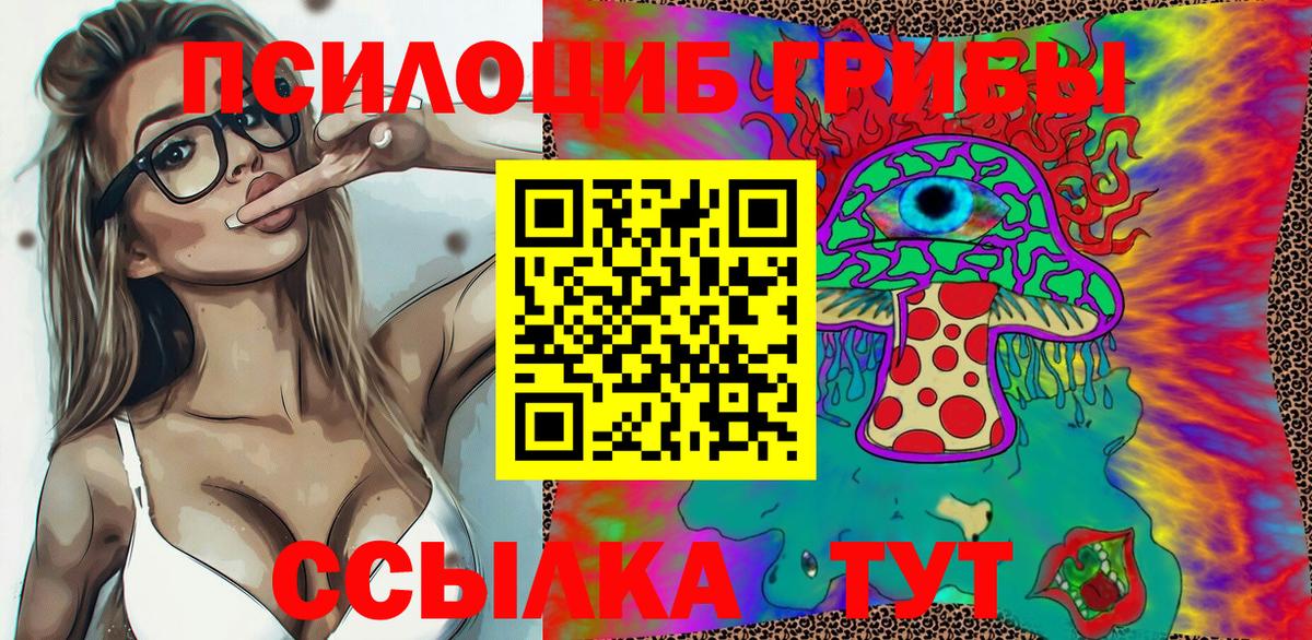 Галлюциногенные грибы MAGIC MUSHROOMS  Вход с VPN  Старая Купавна 
