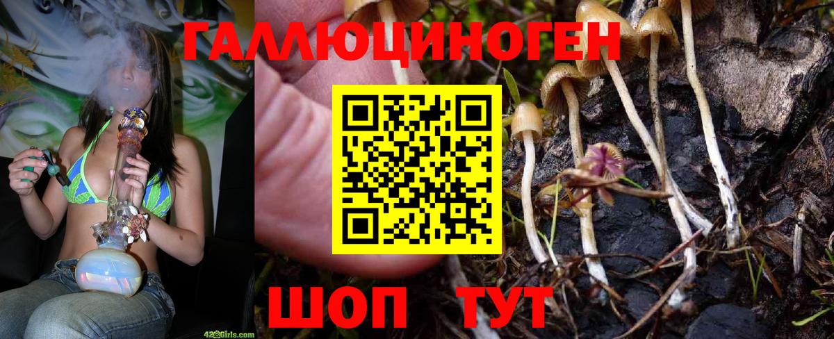 Псилоцибиновые грибы ЛСД Старая Купавна